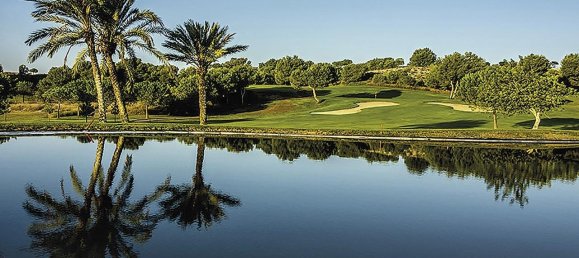 3 bedrooms Penthouse in Monforte del Cid, Spain No. 14911 19