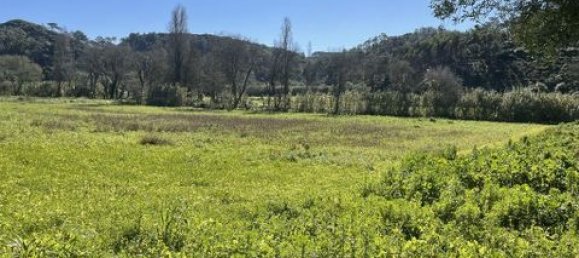 Grundstück in Ericeira, Portugal 9062m², Nr. 147276 5