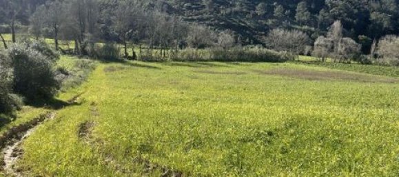 Grundstück in Ericeira, Portugal 9062m², Nr. 147276 11