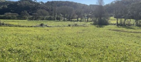 Grundstück in Ericeira, Portugal 9062m², Nr. 147276 8