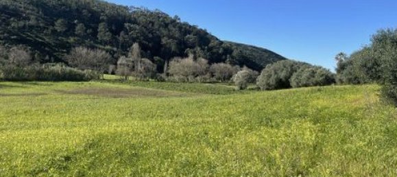 Grundstück in Ericeira, Portugal 9062m², Nr. 147276 10