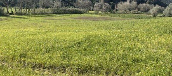 Grundstück in Ericeira, Portugal 9062m², Nr. 147276 12