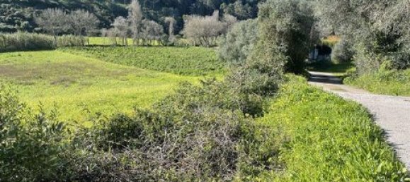 Grundstück in Ericeira, Portugal 9062m², Nr. 147276 2