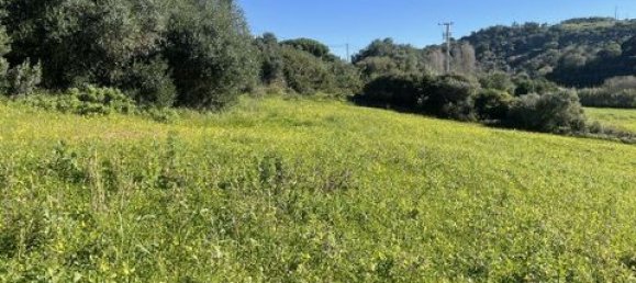 Grundstück in Ericeira, Portugal 9062m², Nr. 147276 7