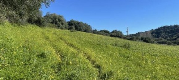 Grundstück in Ericeira, Portugal 9062m², Nr. 147276 6