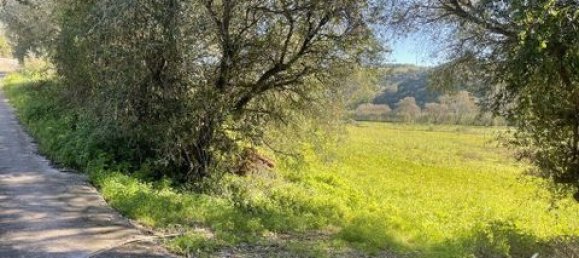 Grundstück in Ericeira, Portugal 9062m², Nr. 147276 4