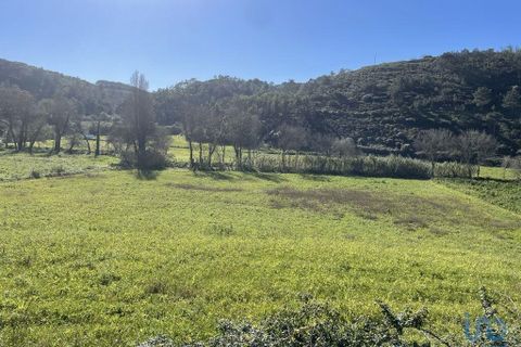 Grundstück in Ericeira, Portugal 9062m², Nr. 147276