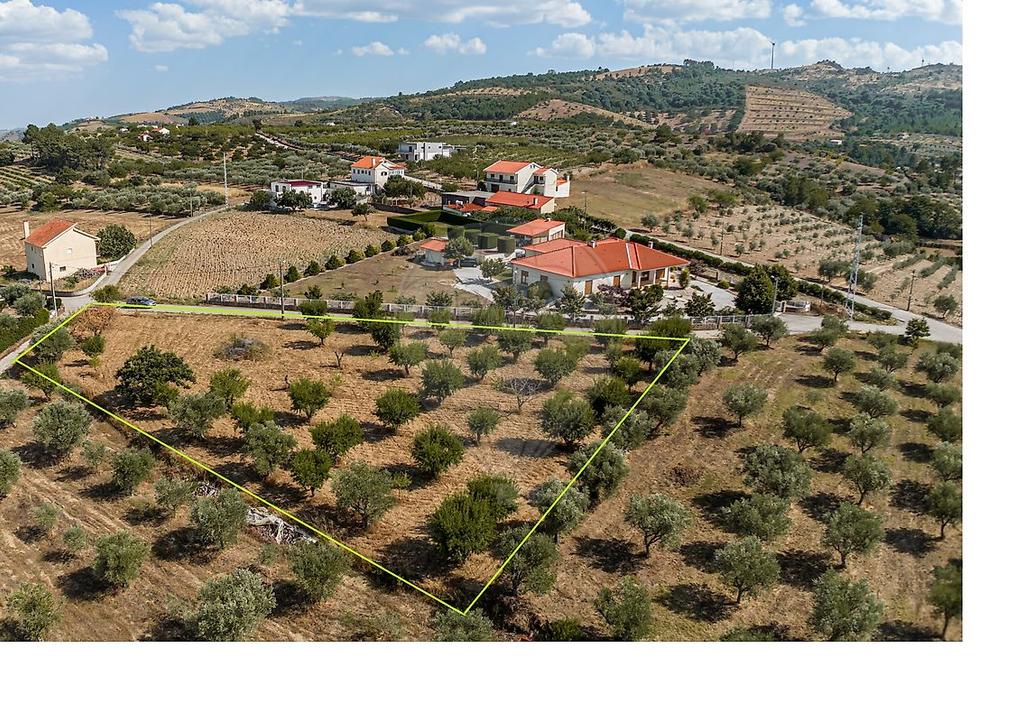 Земельный участок в Сан Жуан да Пешкейра, Португалия № 271680