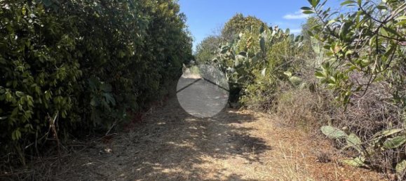 2 bedrooms House in Sorso, Italy No. 322166 21