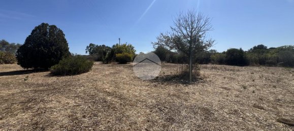 2 bedrooms House in Sorso, Italy No. 322166 18