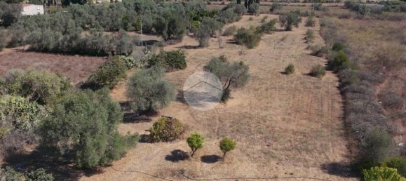 2 bedrooms House in Sorso, Italy No. 322166 16