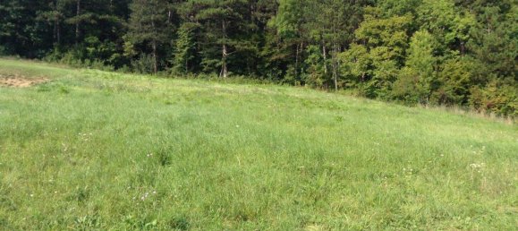 Grundstück in Baden, Austria, Nr. 256868 2