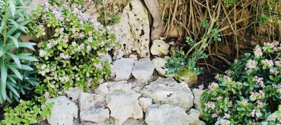 6 Schlafzimmer Haus in Moita, Portugal, Nr. 112313 22