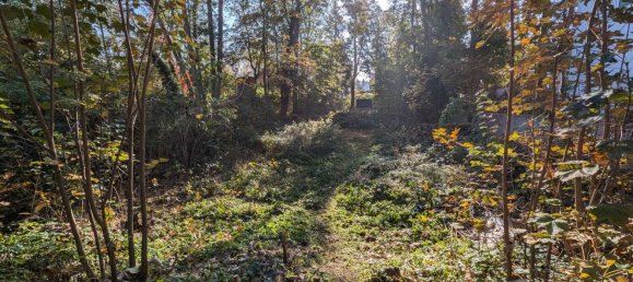 Terreno en Oberhavel, Germany No. 16998 6