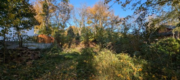 Terreno en Oberhavel, Germany No. 16998 7