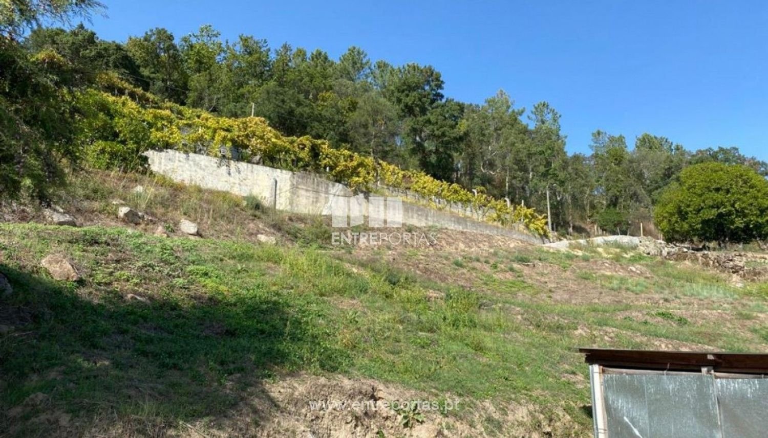 Земельный участок 1900м² в Марку ди Канавезиш, Португалия № 49694