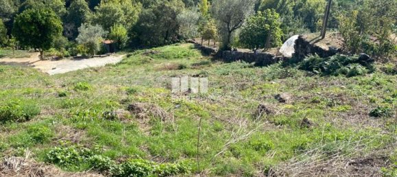 Земельный участок 1900м² в Марку ди Канавезиш, Португалия № 49694 5