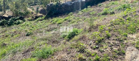 Земельный участок 1900м² в Марку ди Канавезиш, Португалия № 49694 7