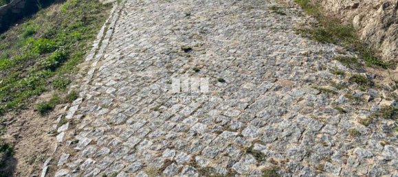 Земельный участок 1900м² в Марку ди Канавезиш, Португалия № 49694 25