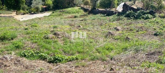 Земельный участок 1900м² в Марку ди Канавезиш, Португалия № 49694 8