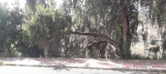 Terreno em Las Palmas De Gran Canaria, Spain 671 m² N.º 101459 9