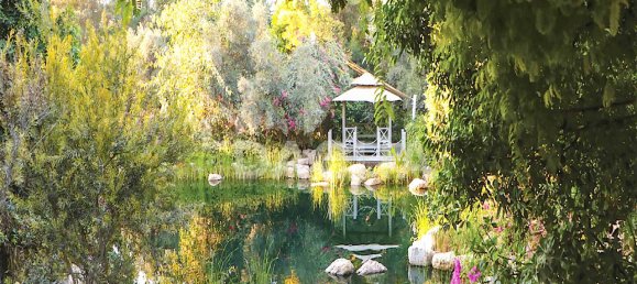 6 chambres Villa à Al Barari, UAE No. 28019 10