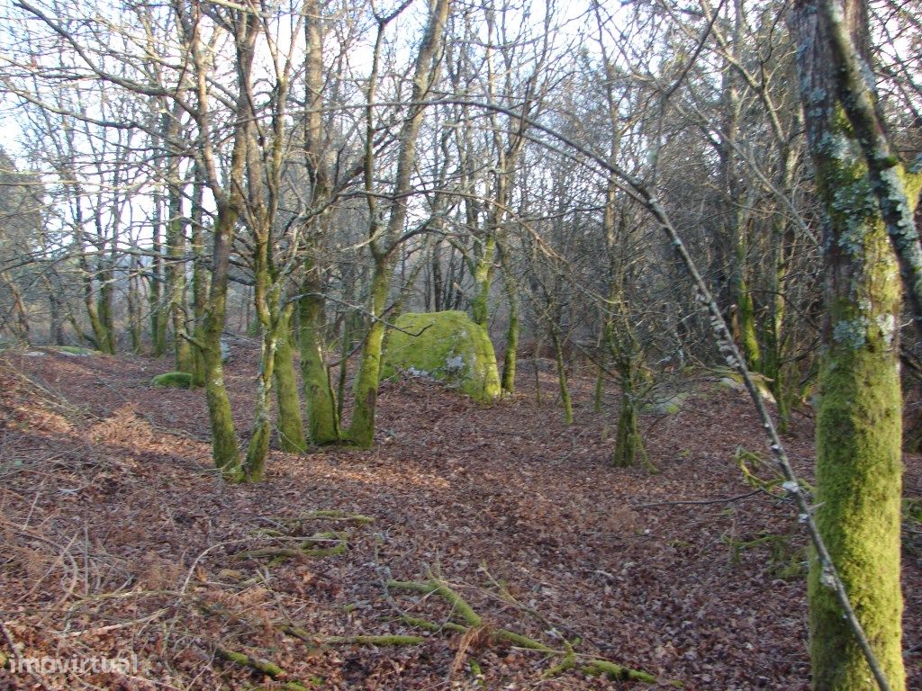 1750m² Land in Paredes de Coura, Portugal No. 303509