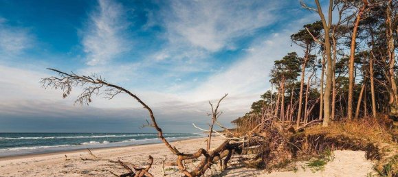 5 rooms Townhouse in Vorpommern-Rugen, Germany No. 365448 30