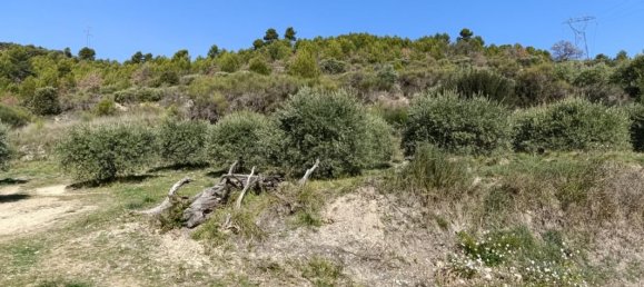 1840m² Land in Manosque, France No. 102060 7