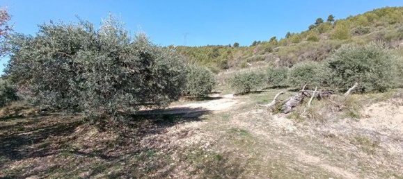 1840m² Land in Manosque, France No. 102060 8