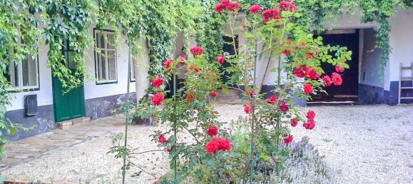 Casa de 6 divisões em Guntersdorf, Austria N.º 82548 12