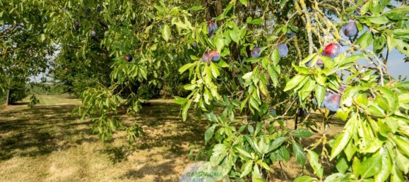 4 bedrooms Villa in Tresignana, Italy No. 328234 3