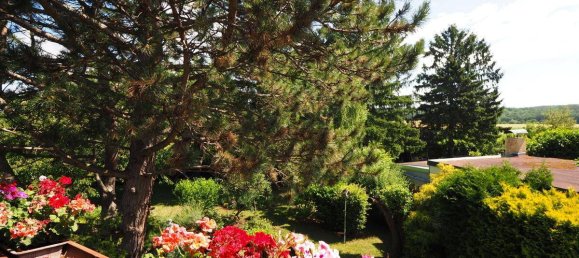 5 غرف نوم منزل في Berndorf, Austria رقم 126431 14