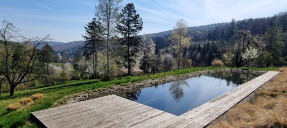 5 rooms House in Pressbaum, Austria No. 138768 33