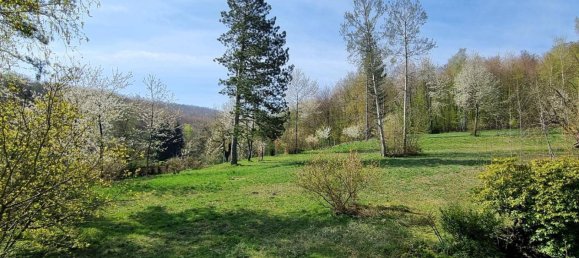 5 rooms House in Pressbaum, Austria No. 138768 3