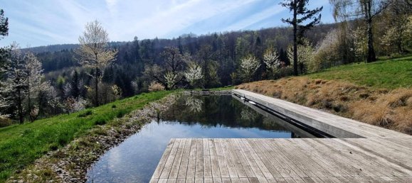 5 rooms House in Pressbaum, Austria No. 138768 31