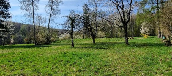 5 rooms House in Pressbaum, Austria No. 138768 2