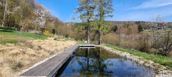 5 rooms House in Pressbaum, Austria No. 138768 32