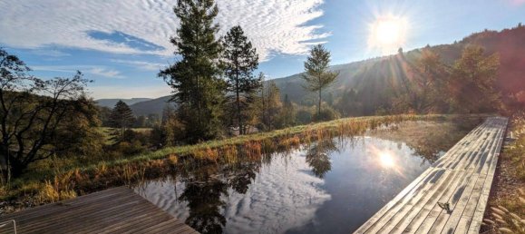 5 rooms House in Pressbaum, Austria No. 138768 26