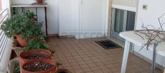 7غرفة شقة في Gallipoli, Italy رقم 177817 18