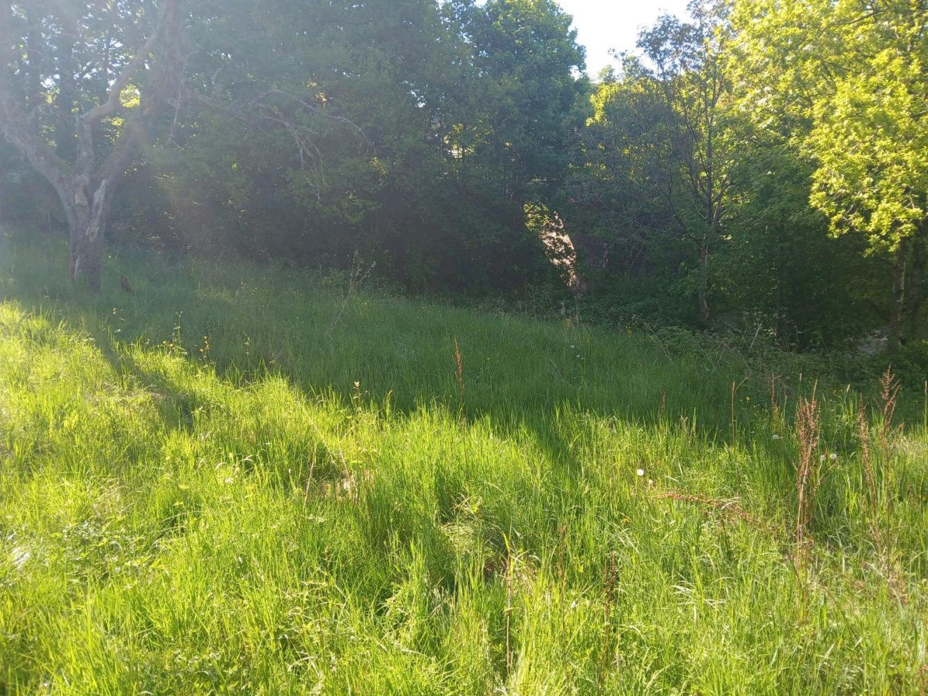 Grundstück in Sankt Wendel, Germany, Nr. 241183