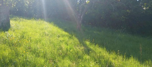 Grundstück in Sankt Wendel, Germany, Nr. 241183 4