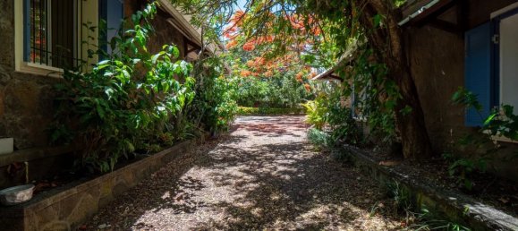 10 bedrooms Commercial property in Goodlands, Mauritius No. 281 25