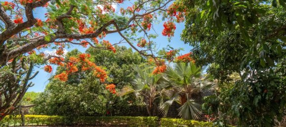 10 bedrooms Commercial property in Goodlands, Mauritius No. 281 28