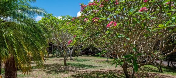 10 bedrooms Commercial property in Goodlands, Mauritius No. 281 13