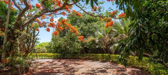 10 bedrooms Commercial property in Goodlands, Mauritius No. 281 12