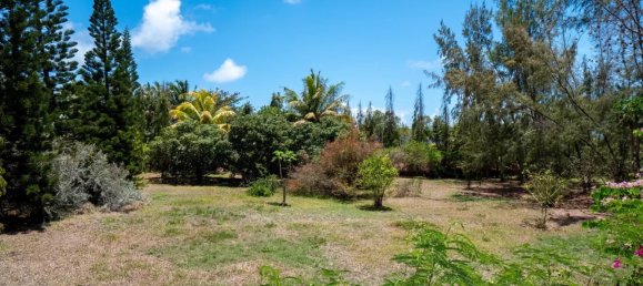 10 bedrooms Commercial property in Goodlands, Mauritius No. 281 14