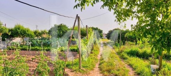 6 bedrooms House in Palmela, Portugal No. 71101 36