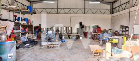 6 bedrooms House in Palmela, Portugal No. 71101 38