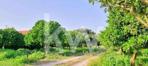 6 bedrooms House in Palmela, Portugal No. 71101 41